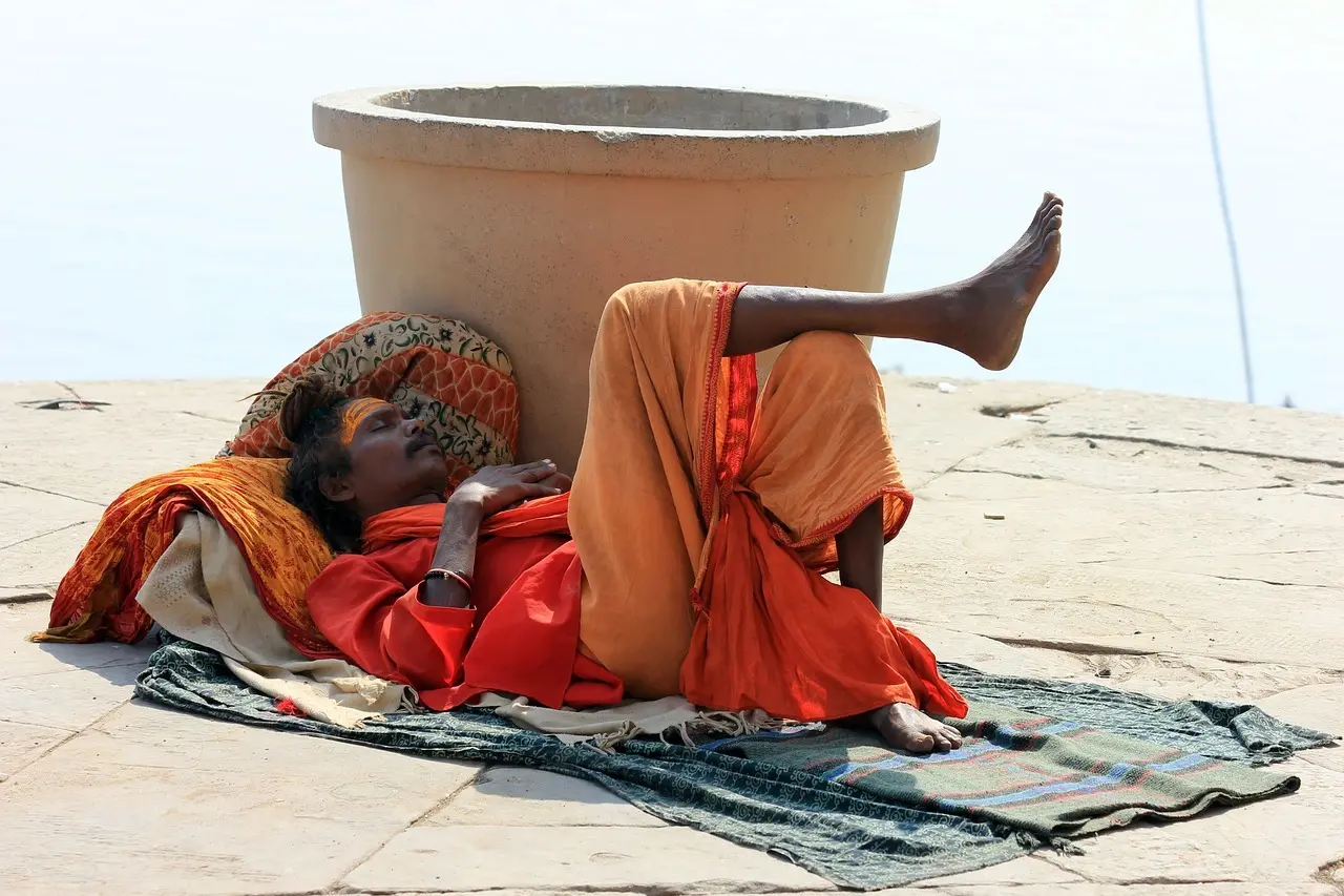 Løsninger til Uddød Fugl krydsord