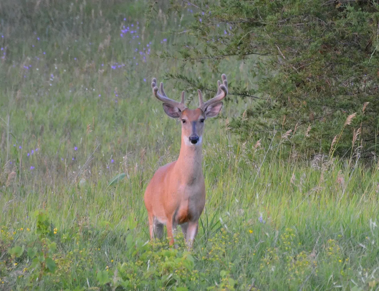 Opslag for Bytte i Krydsord